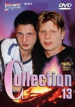 Poster for Game Boys Collection 13