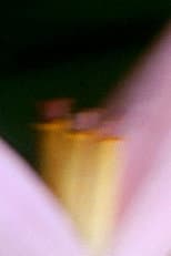 Poster for In the Era