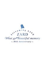 Poster for What a beautiful memory ~30th anniversary
