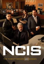 Poster for Season 22