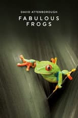 Poster for Fabulous Frogs