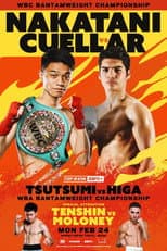 Poster for PRIME VIDEO BOXING 11