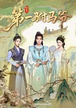 Poster for 第一驸马爷