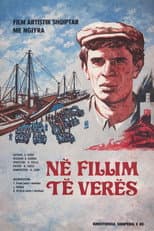 Poster for At the Beginning of Summer