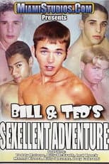 Poster for Bill & Ted's Sexellent Adventure
