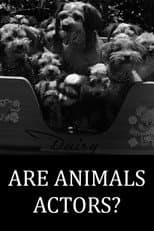 Poster for Are Animals Actors?