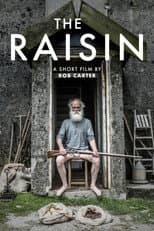Poster for The Raisin