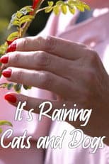 Poster for It's Raining Cats and Dogs