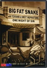 Poster for Big Fat Snake - One Night of Sin