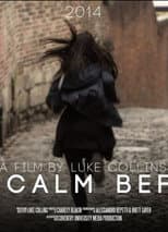 Poster for The Calm Before