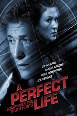Poster for A Perfect Life