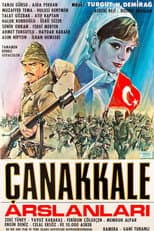 Poster for Çanakkale Aslanları