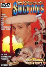 Poster for 1001 Horny Nights 2