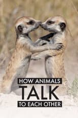 Poster for How Animals Talk To Each Other