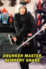 Poster for Mad Mad Kung Fu