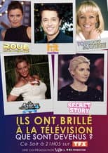 Poster for Ils ont brillé à la télé : que sont-ils devenus ?