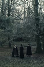 Poster for Le Testament de Galois