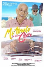 Poster for Mi abuelo se quiere casar