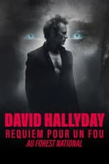 Poster for David Hallyday, Requiem pour un fou, au Forest National