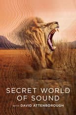 Poster for Secret World of Sound