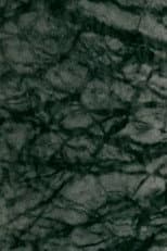Poster for 1998