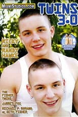 Poster for Twins 3.0