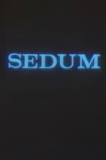 Poster for The Seven