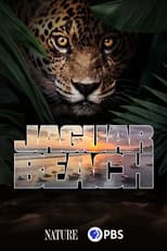 Poster for Jaguar Beach‎