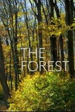 Poster for The Forest