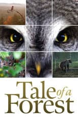 Poster for Tale of a Forest