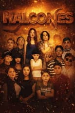 Poster for Falcons