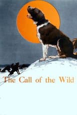 Poster for The Call of the Wild