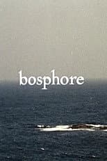 Poster for Bosphore