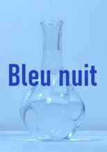 Poster for Bleu nuit