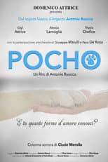 Poster for Pocho