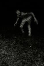 Poster for Stalking