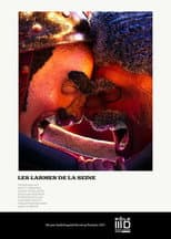 Poster for The Seine's Tears