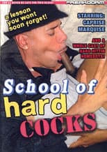 Poster for School of Hard Cocks