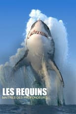 Poster for Les requins, maîtres des profondeurs