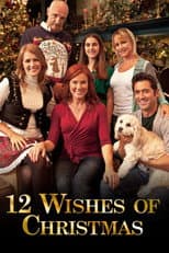 Poster for 12 Wishes of Christmas