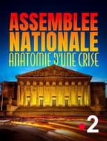 Poster for Assemblée nationale, anatomie d'une crise