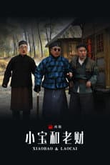 Poster for 小宝和老财