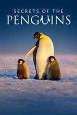 Poster for Secrets of the Penguins