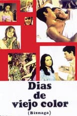 Poster for Días de viejo color