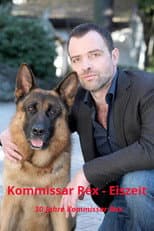 Poster for Kommissar Rex - Eiszeit