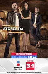 Poster for Atrapada