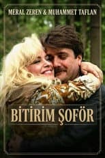Poster for Bitirim Şoför