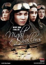 Poster for Night Swallows