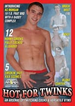 Poster for Hot for Twinks
