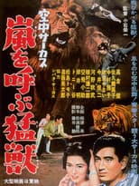 Poster for Midair Circus